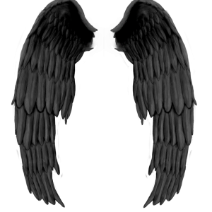 Black evil wings PNG
