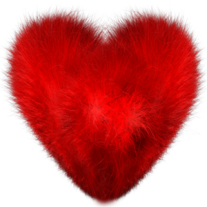 Heart PNG