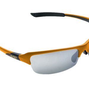 Sport sunglasses PNG