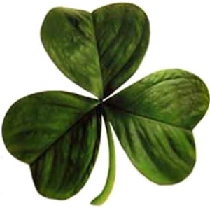 Clover PNG