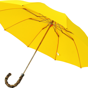 Umbrella PNG