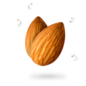Almond PNG
