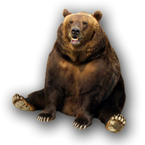 bear PNG