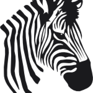Zebra PNG image