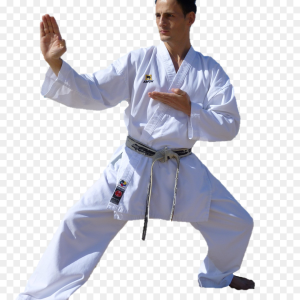 Karate PNG