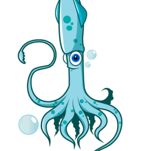 Squid PNG