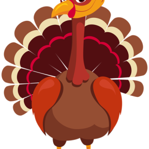 Turkey bird PNG
