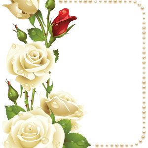 Floral frame PNG