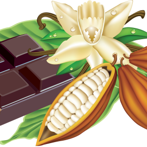 Chocolate PNG