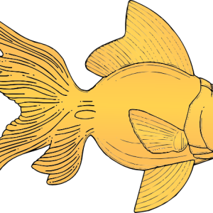 Goldfish PNG