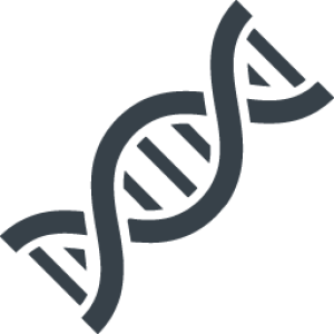 DNA PNG