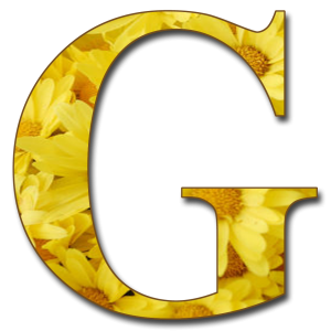 letter G PNG