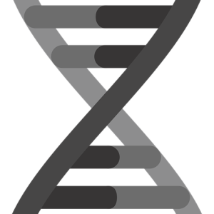 DNA PNG
