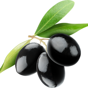 Olive PNG