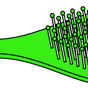 Hairbrush PNG