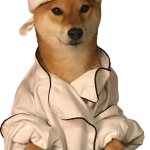Doge (meme) PNG image