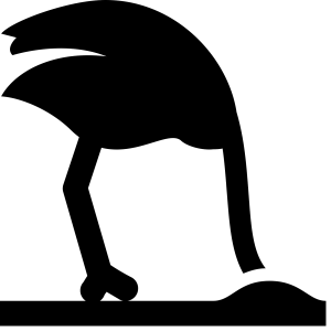 Ostrich PNG