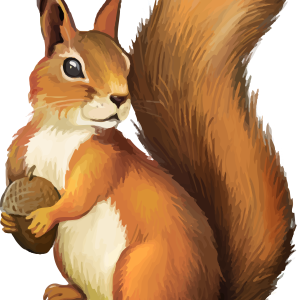 Squirrel PNG
