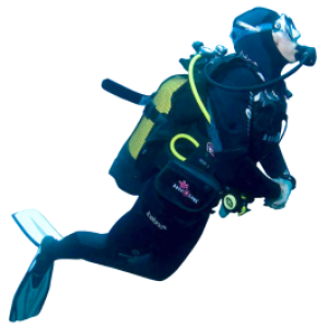 Diver PNG