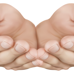 hand PNG