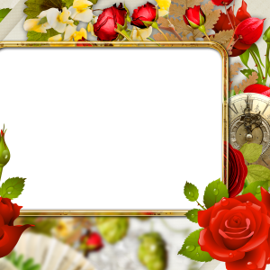 Floral frame PNG