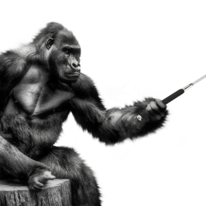 Gorilla PNG