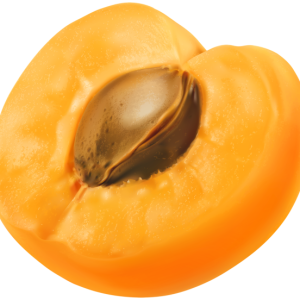 Apricot PNG image with transparent background