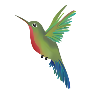 Hummingbird PNG