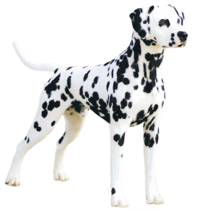 Dalmatian PNG