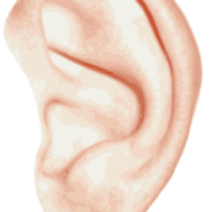 Ear PNG