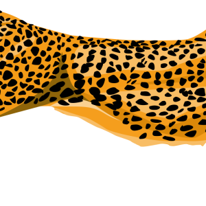 Cheetah PNG