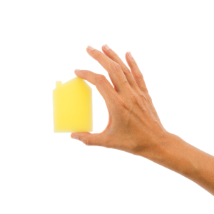 sponge PNG