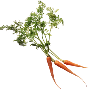 Carrot PNG image
