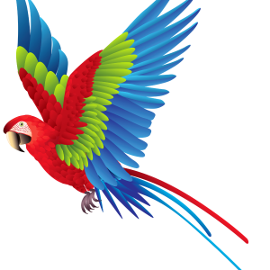 Parrot PNG image