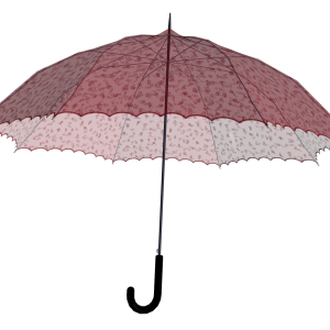 Umbrella PNG