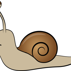 Snail PNG