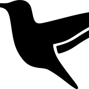 Hummingbird PNG
