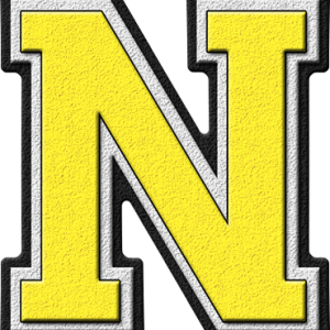 Letter N PNG