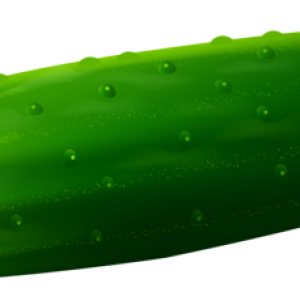 Green cucumber PNG