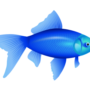 blue fish PNG image