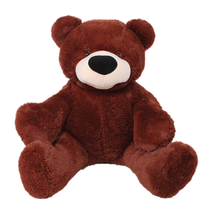 Teddy bear PNG