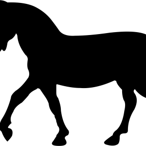 Unicorn PNG
