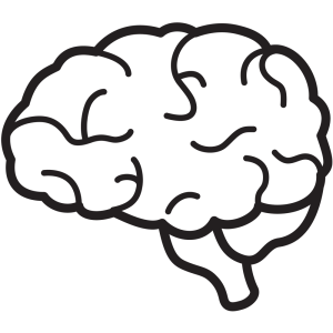 Brain PNG