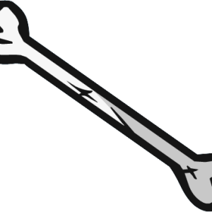 Bone PNG