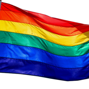 LGBT flag PNG