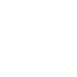 Price tag PNG