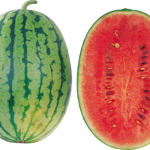 watermelon PNG image