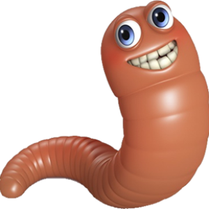 earthworm worm PNG