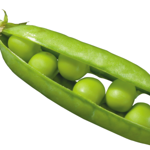 Pea PNG