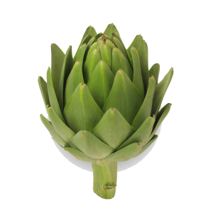 Artichoke PNG